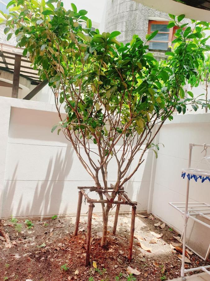 Kru Nat'S Bed & Breakfast W/ Private Rooms & Gym Bangkok Exteriör bild